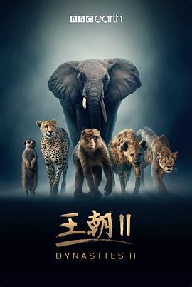 王朝第二季中配版 王朝第二季中配版