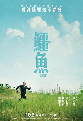 鳄鱼 鳄鱼