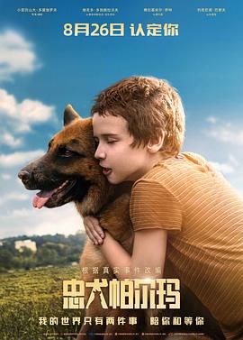 忠犬帕尔玛国语 忠犬帕尔玛国语