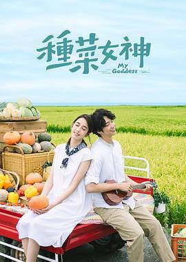 种菜女神 种菜女神