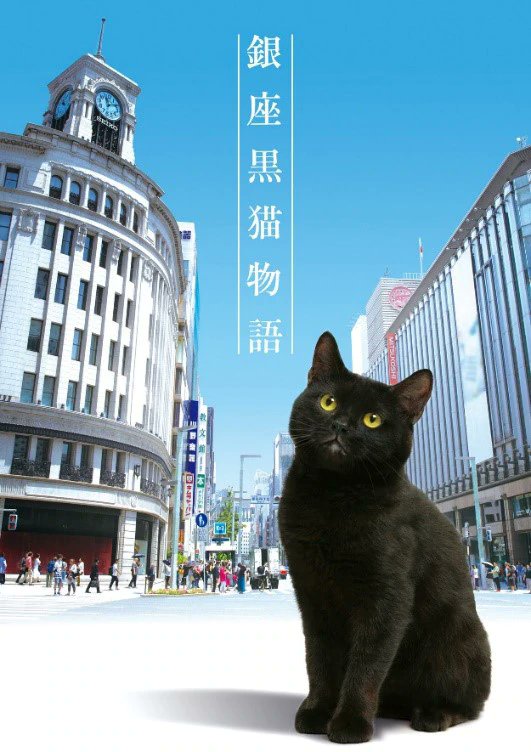 银座黑猫物语 银座黑猫物语