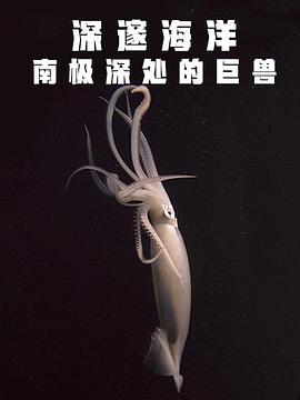 深邃海洋:南极深处的巨兽 深邃海洋:南极深处的巨兽