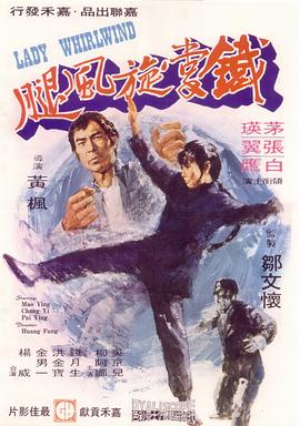 铁掌旋风腿 铁掌旋风腿