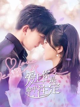 爱上你是命中注定 爱上你是命中注定