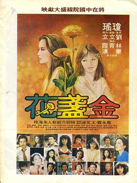 金盏花 金盏花