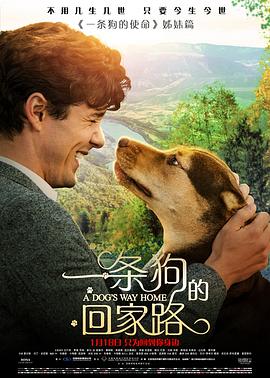 一条狗的回家路国语 一条狗的回家路国语