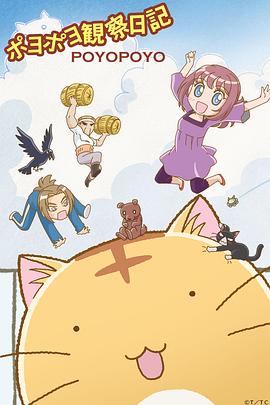 嘟嘟猫观察日记 嘟嘟猫观察日记