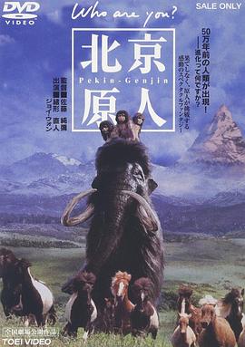 北京猿人 北京猿人