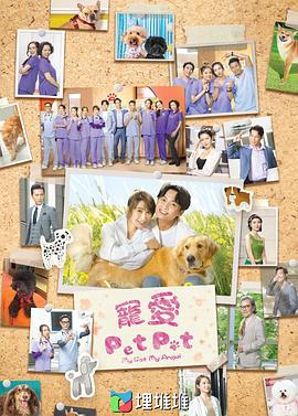 宠爱PetPet粤语 宠爱PetPet粤语