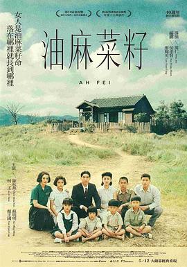 油麻菜籽 油麻菜籽